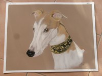 /album/galerie-photos/photo-1148-jpg/